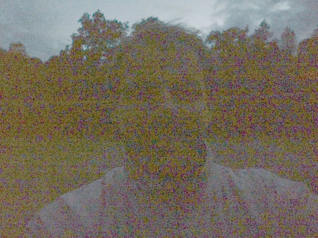 Grain or noise? They both have artistic value.