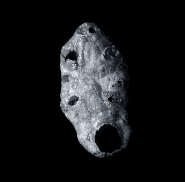 CosmicCrispie1EmilyScaife-1303x1280