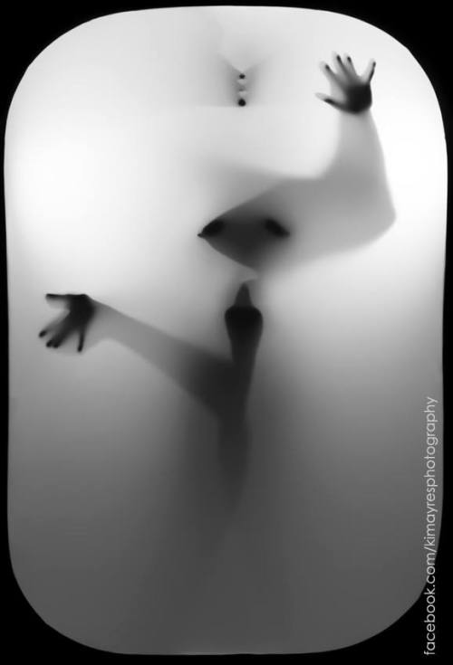 11885076_1119648194716550_4188897012509617955_n