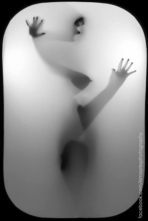 11889468_1119648214716548_7144817012739065741_n