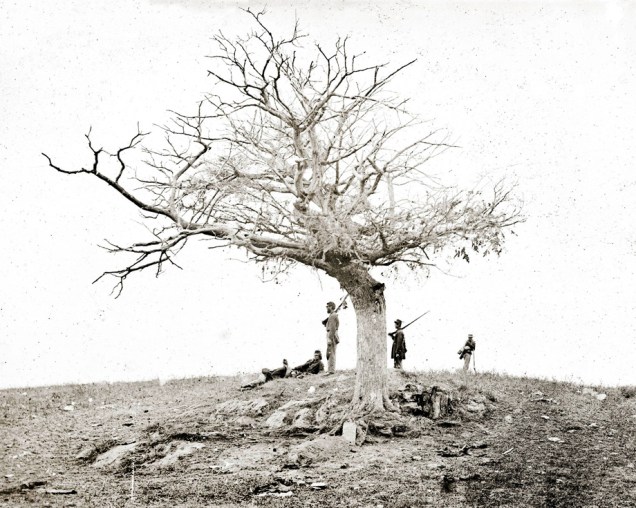 Antietam Battlefield, 1862, taken by Alexander Gardner. 