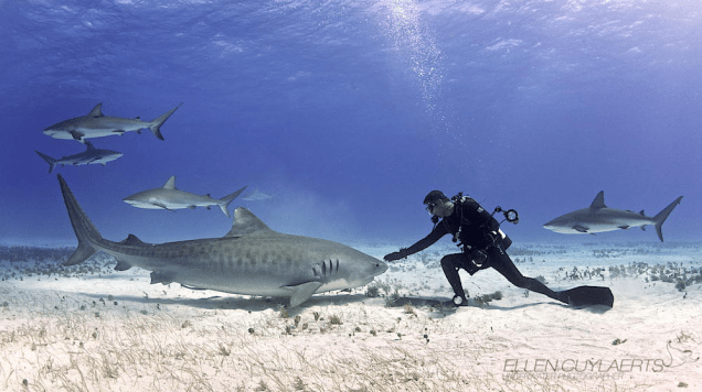 Respect by Ellen Cuylaerts