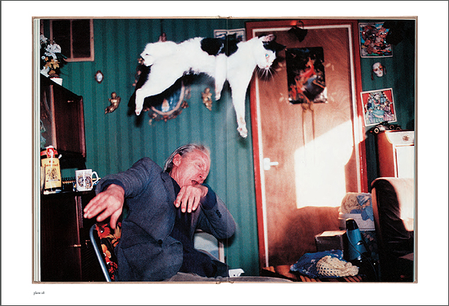 Richard Billingham's 'Ray's a Laugh'.