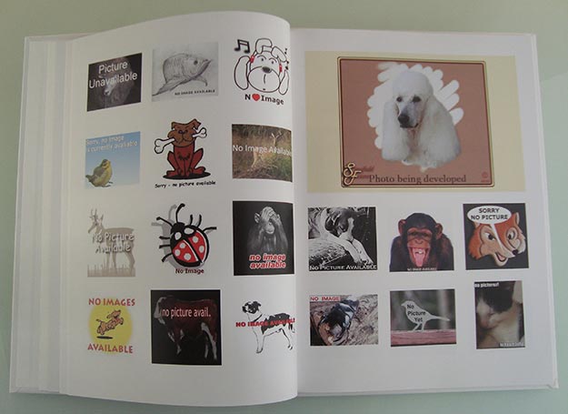 picturebook-jasper-elings-10