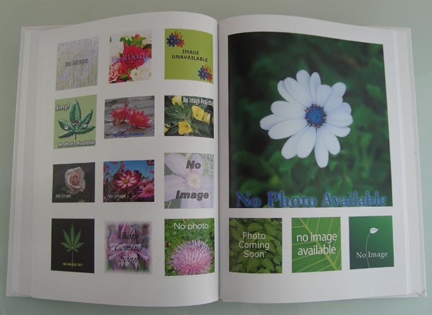 Picturebook without pictures, Jasper Elings.