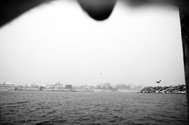 tumblr_n72i2eLS7a1tpaqwwo1_1280