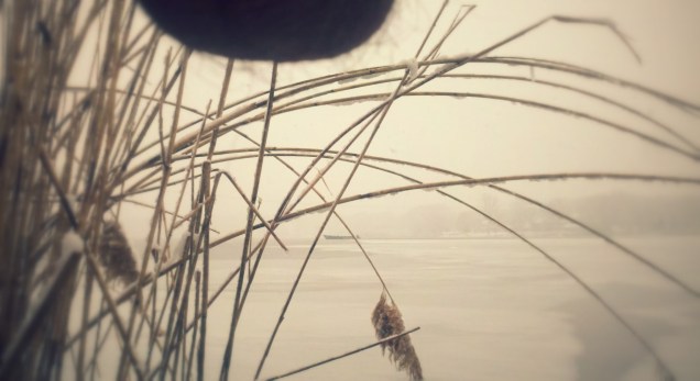 tumblr_n7oipc5mUO1tpaqwwo1_1280