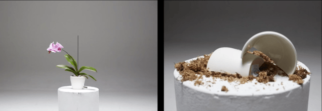 Screen Shot 2015-11-25 at 14.45.30