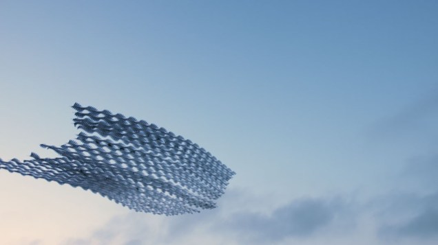 4_Ornito_Delta_00015