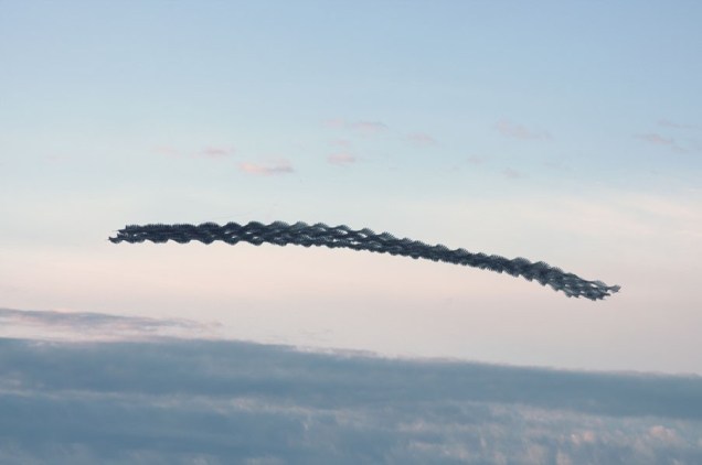 4_Ornito_Delta_00051