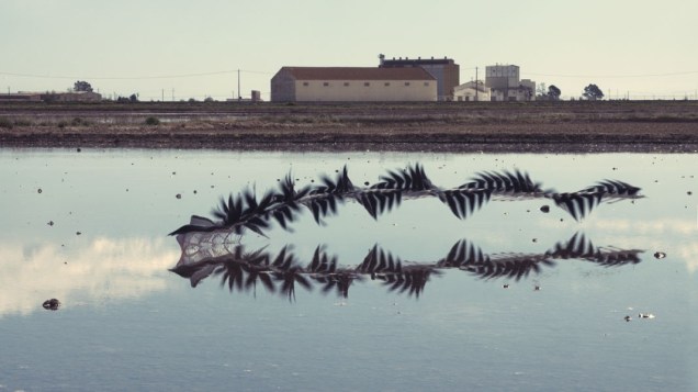 4_Ornito_Delta_00057_1